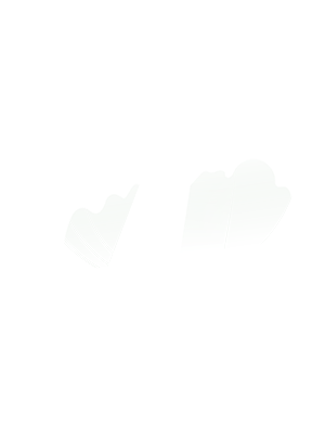Hafen-Sellin-Logo